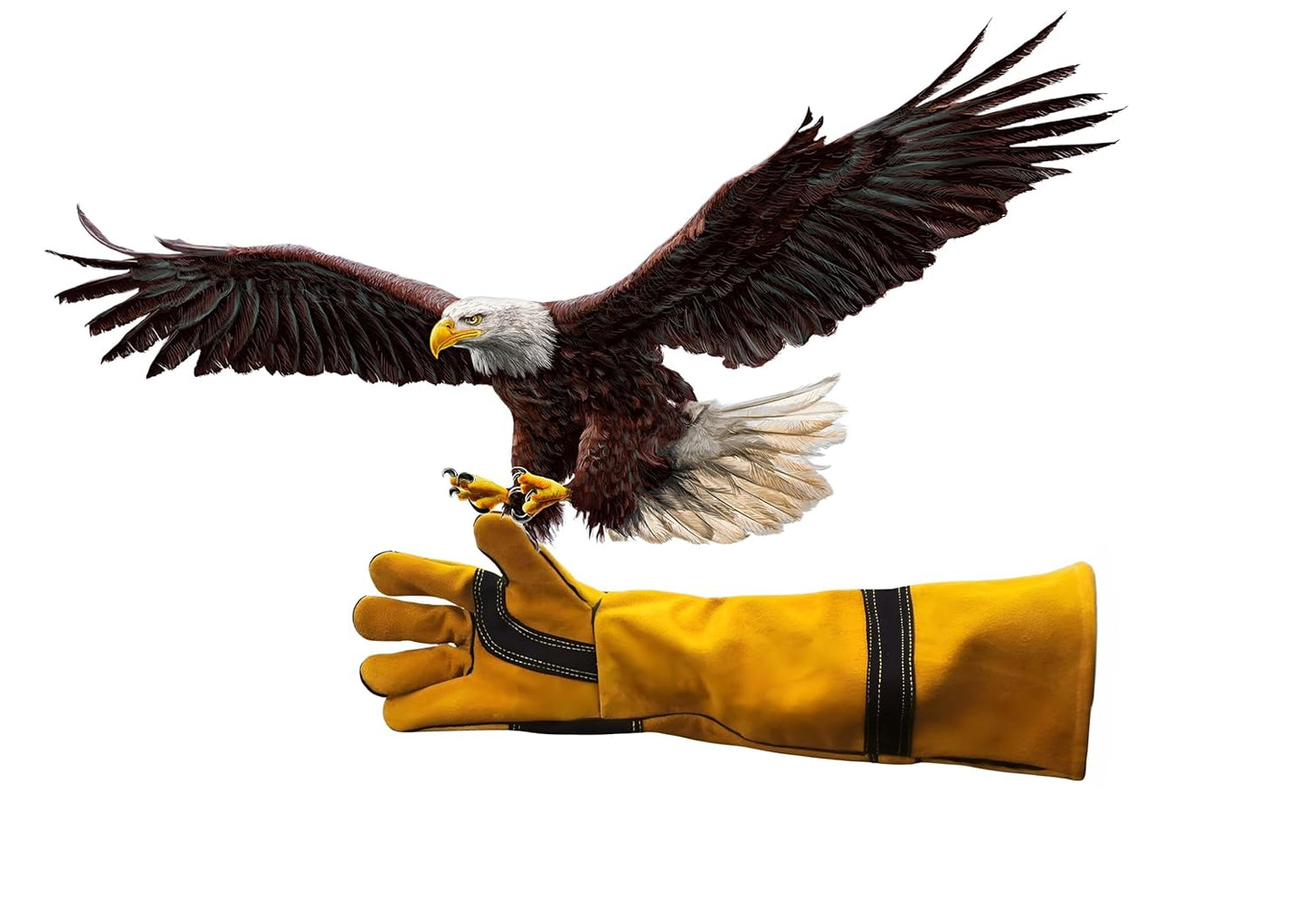 HANMECH Leather Bird Handling Gloves, Bite-Proof Protection for Falconry, Dogs, Cats, Reptiles, Snakes