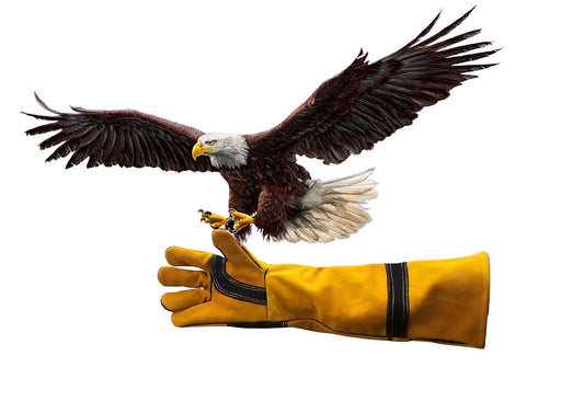 HANMECH Leather Bird Handling Gloves, Bite-Proof Protection for Falconry, Dogs, Cats, Reptiles, Snakes